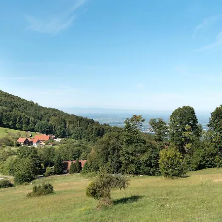 Apartamento Weitblick Sasbachwalden